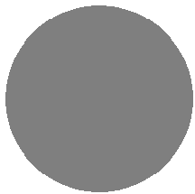 noimage.png
